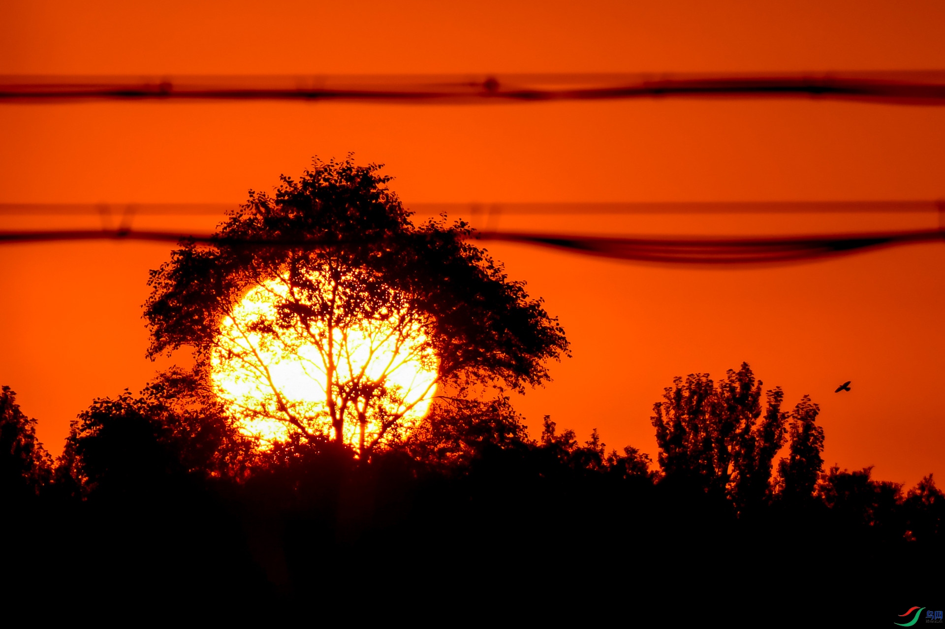 ���ն���