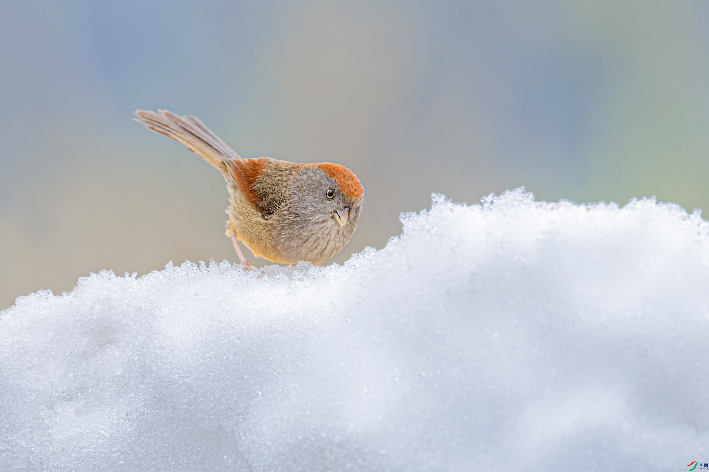 _DSC3901_DxO.jpg