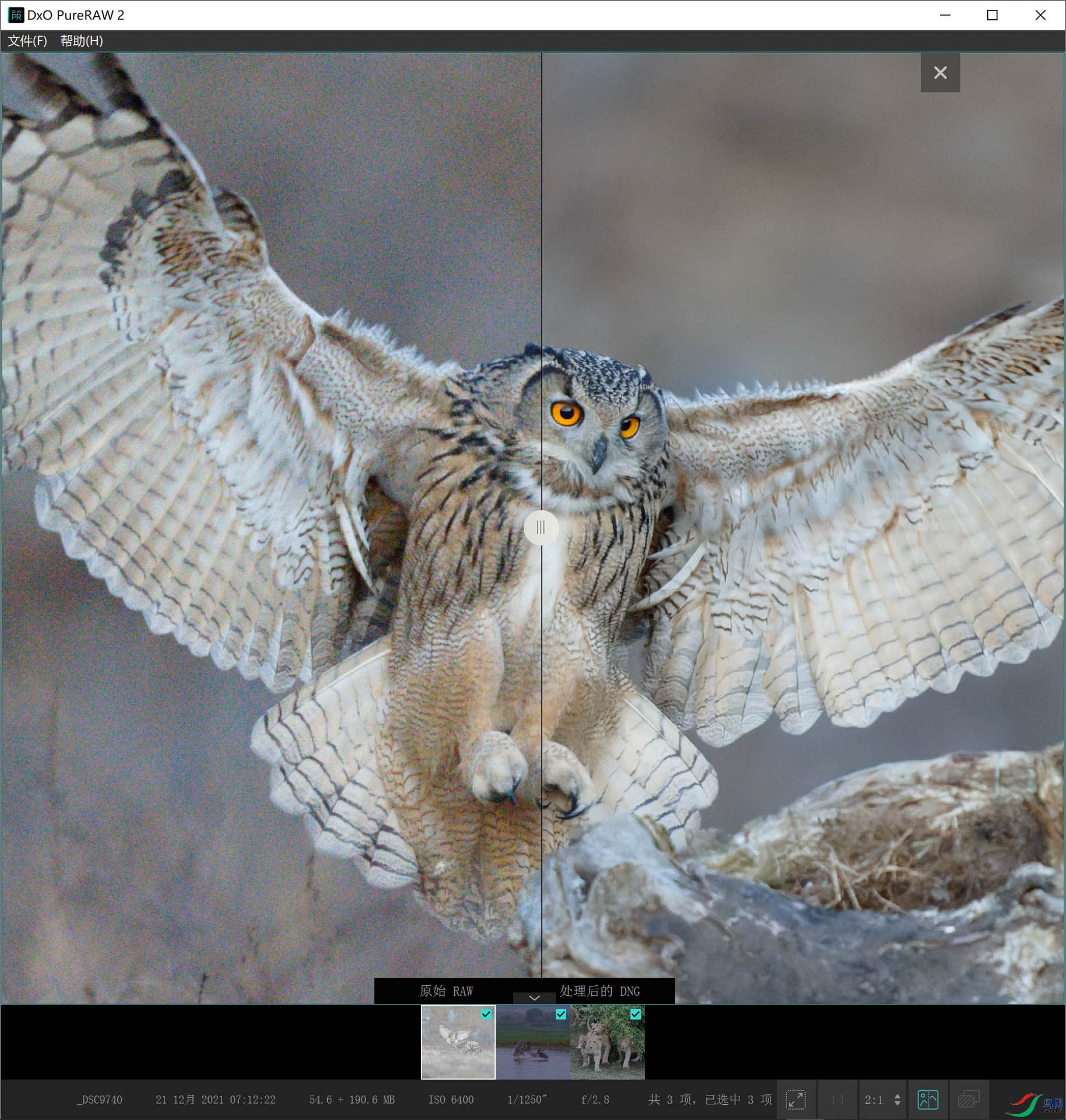 06 �鿴�Ա� s.JPG