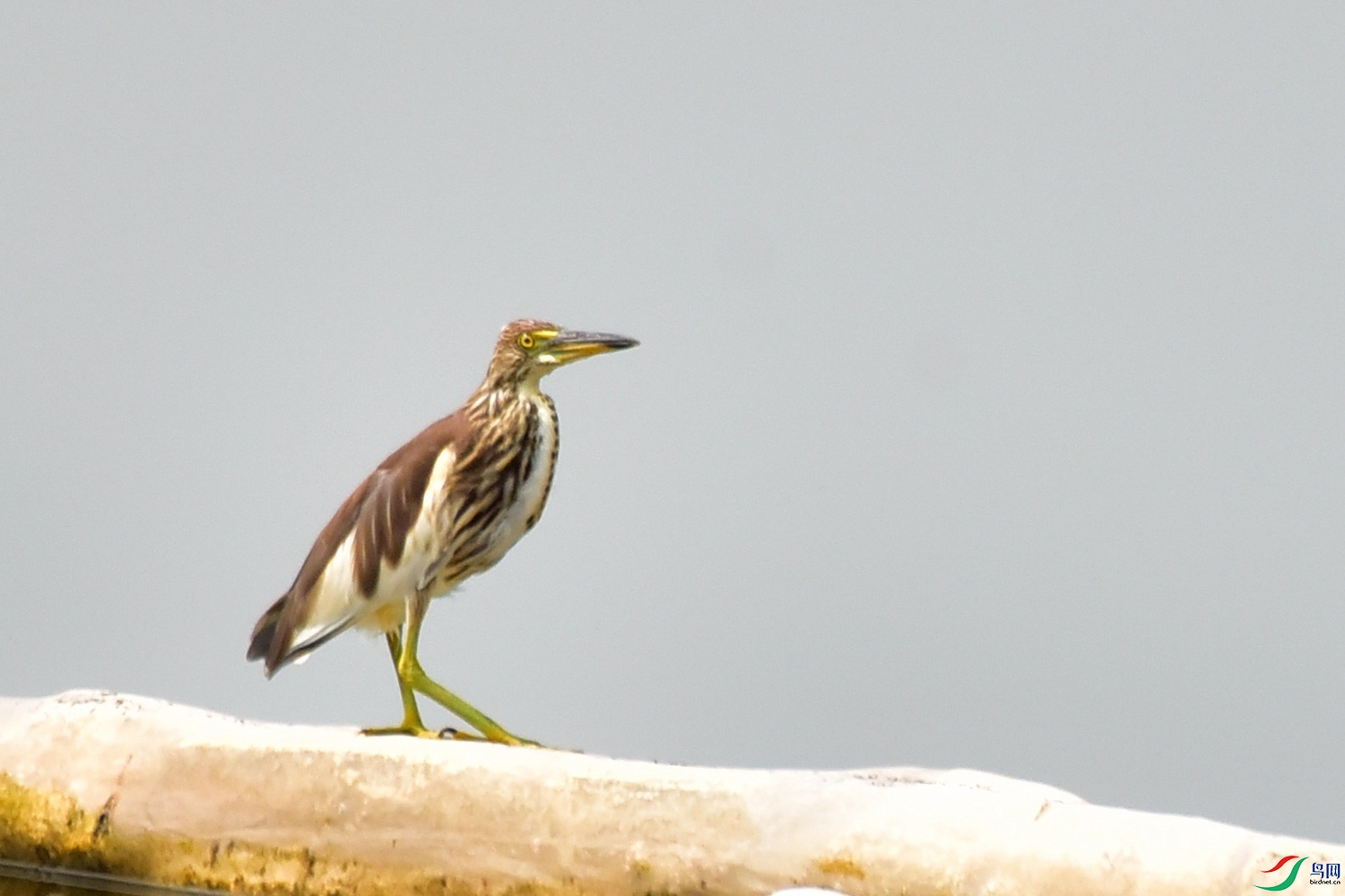 DSC_5745.JPG