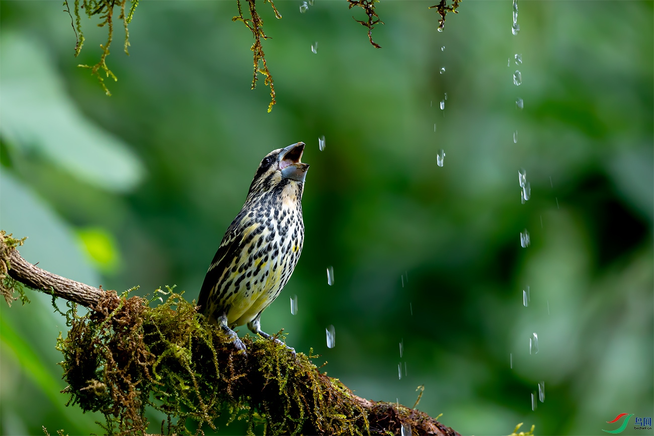 �׵�����ȸ_9120713 2-1.jpg