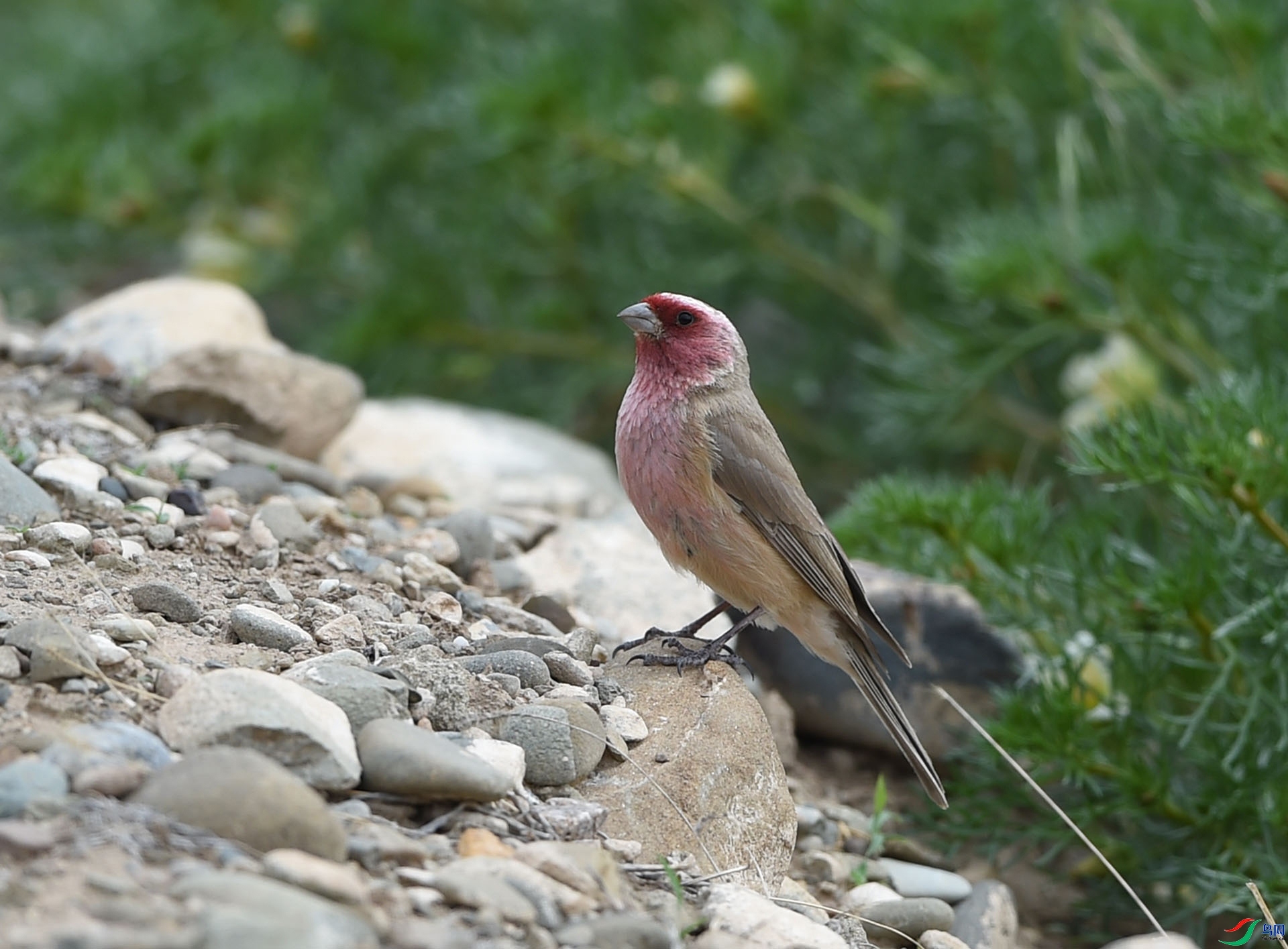 ����ϸ��  ��ʦ�������ຣʡ���ϲ��������ݼ�����.jpg