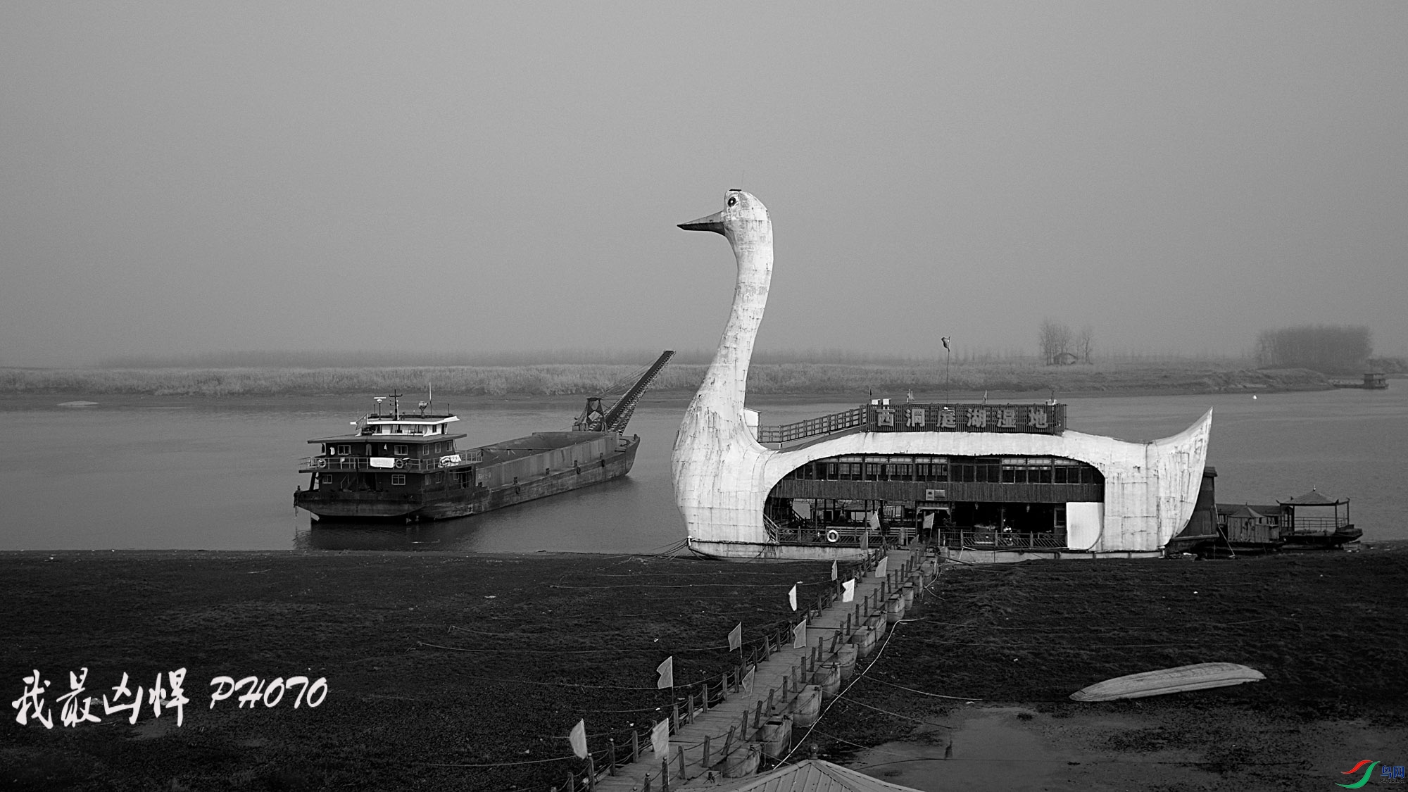 DSCF8198.jpg