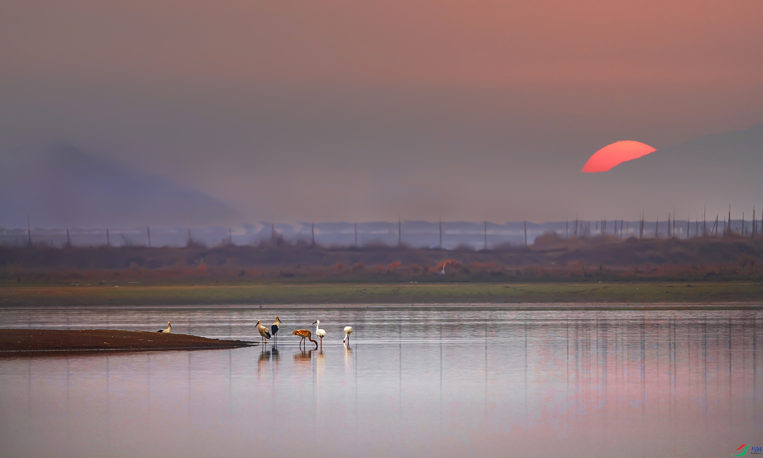 _07A0098--1 11  .jpg