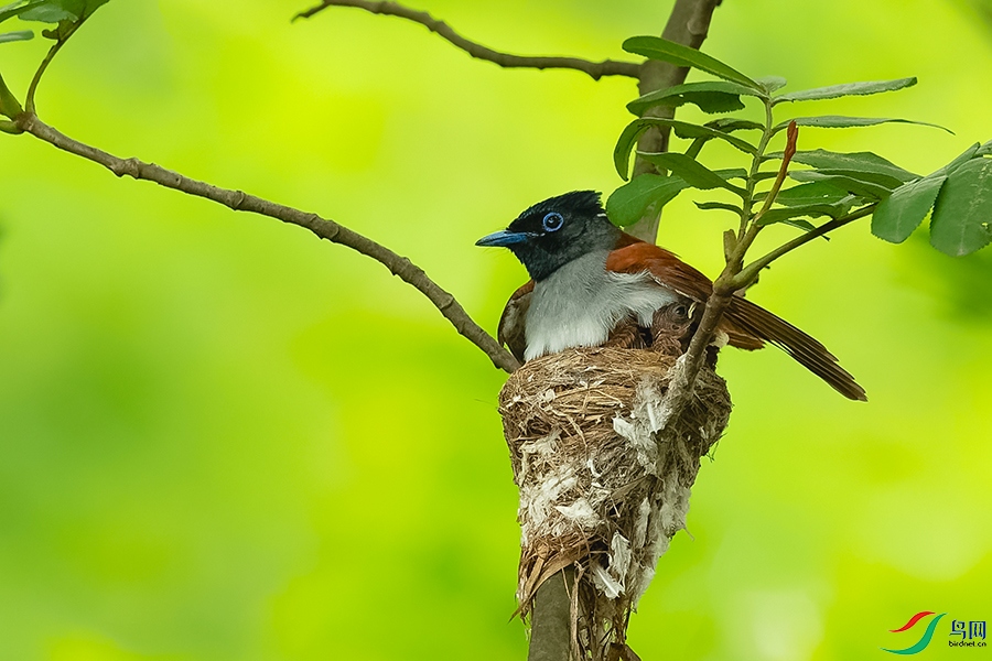 DSC_5224_DxOa.jpg