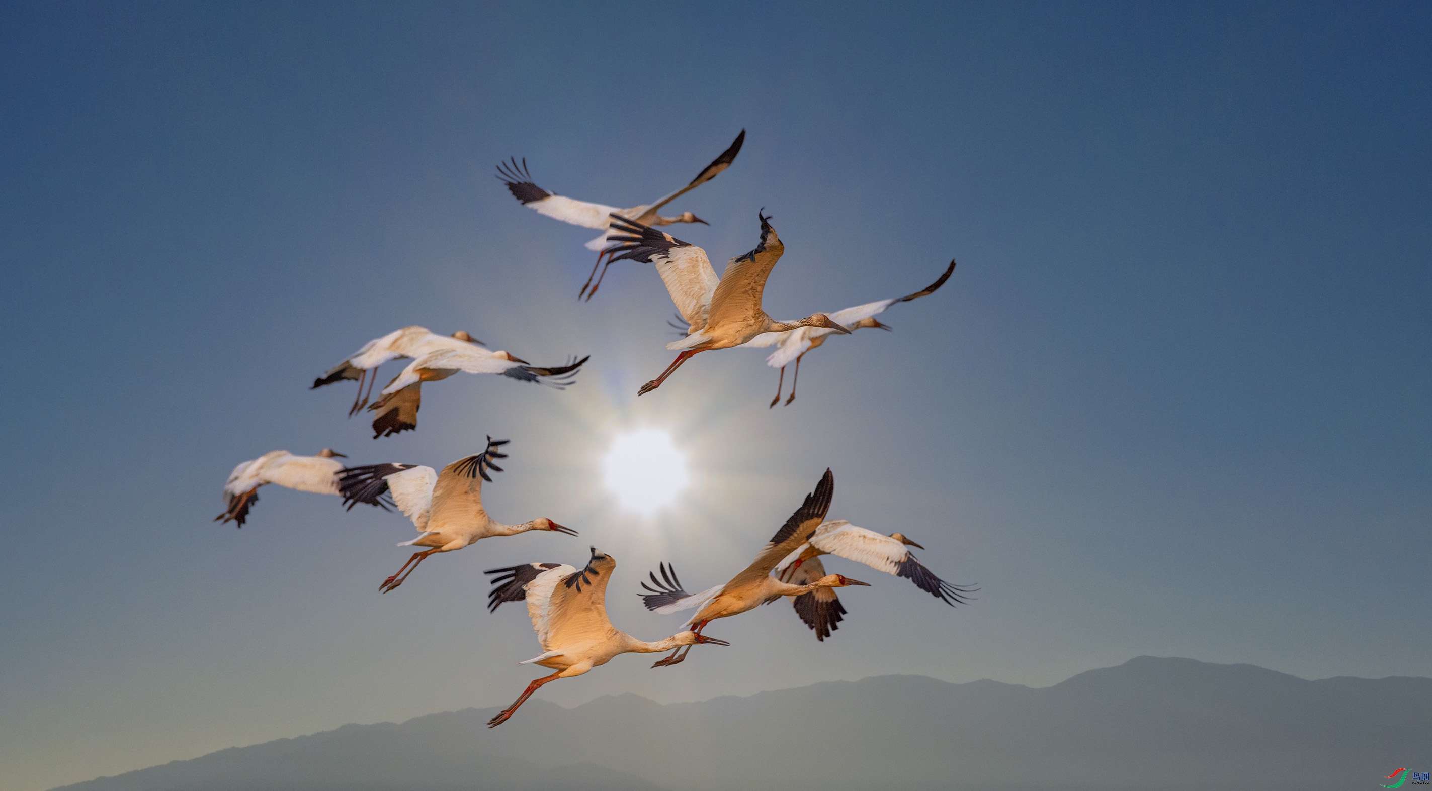 _07A3282---1 11  .jpg