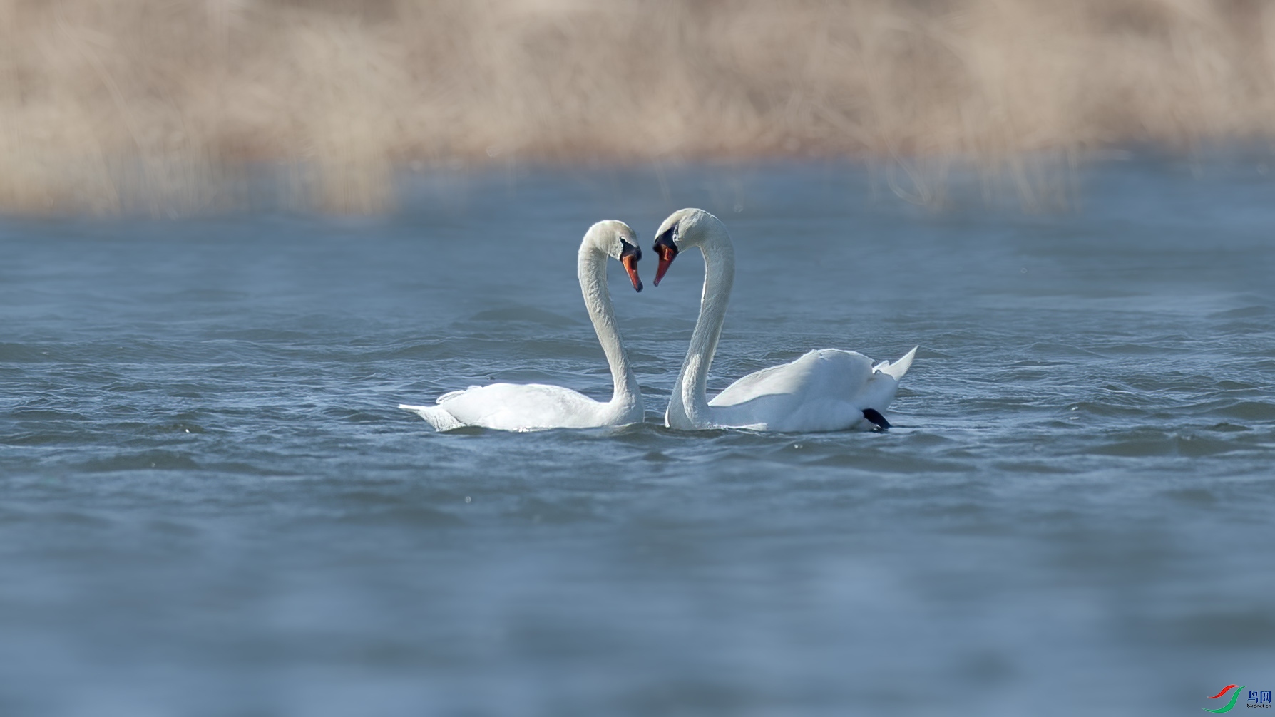 1DX_5788 ����.jpg