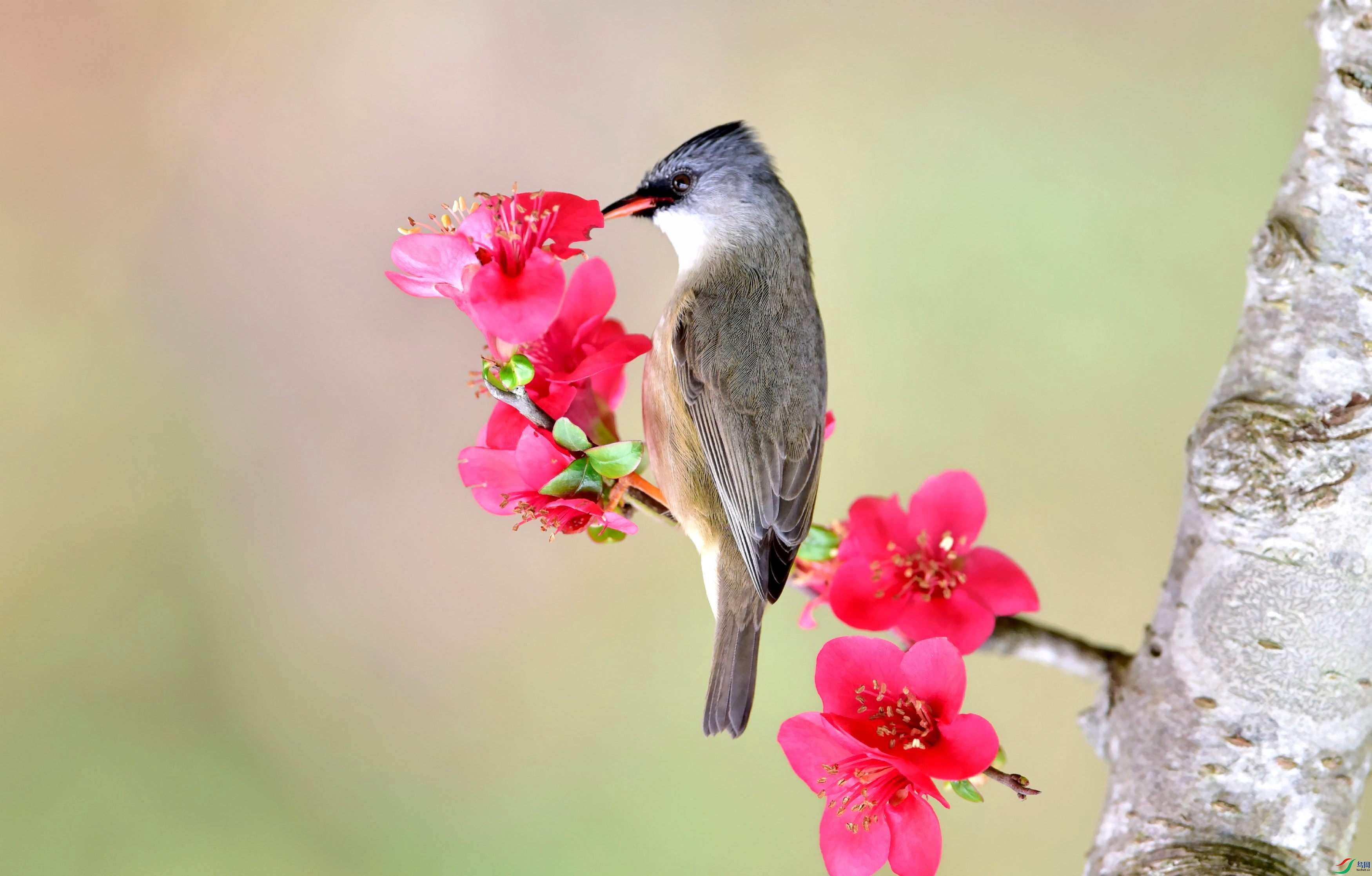 DSC_9476_conew6.jpg