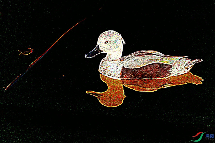 BW6I3556_����_����.jpg