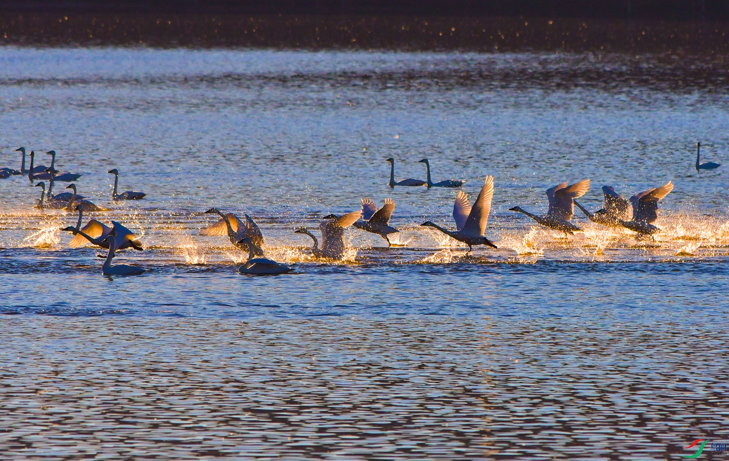 DSC_0331-1 - ����.jpg