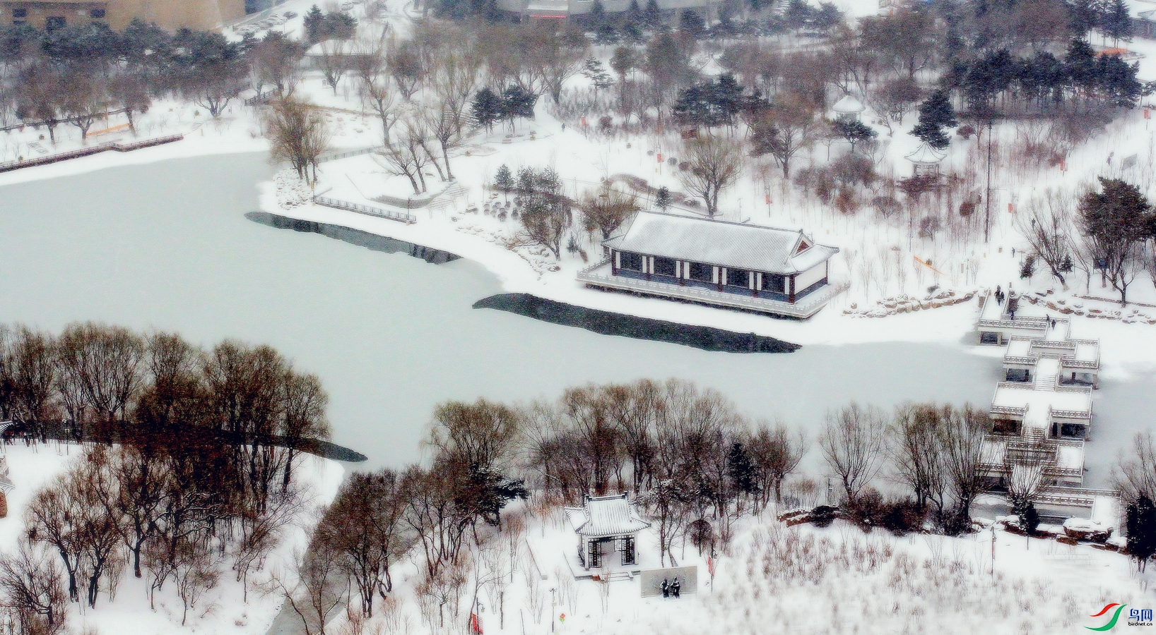 ��ѩ�����ų�����Է