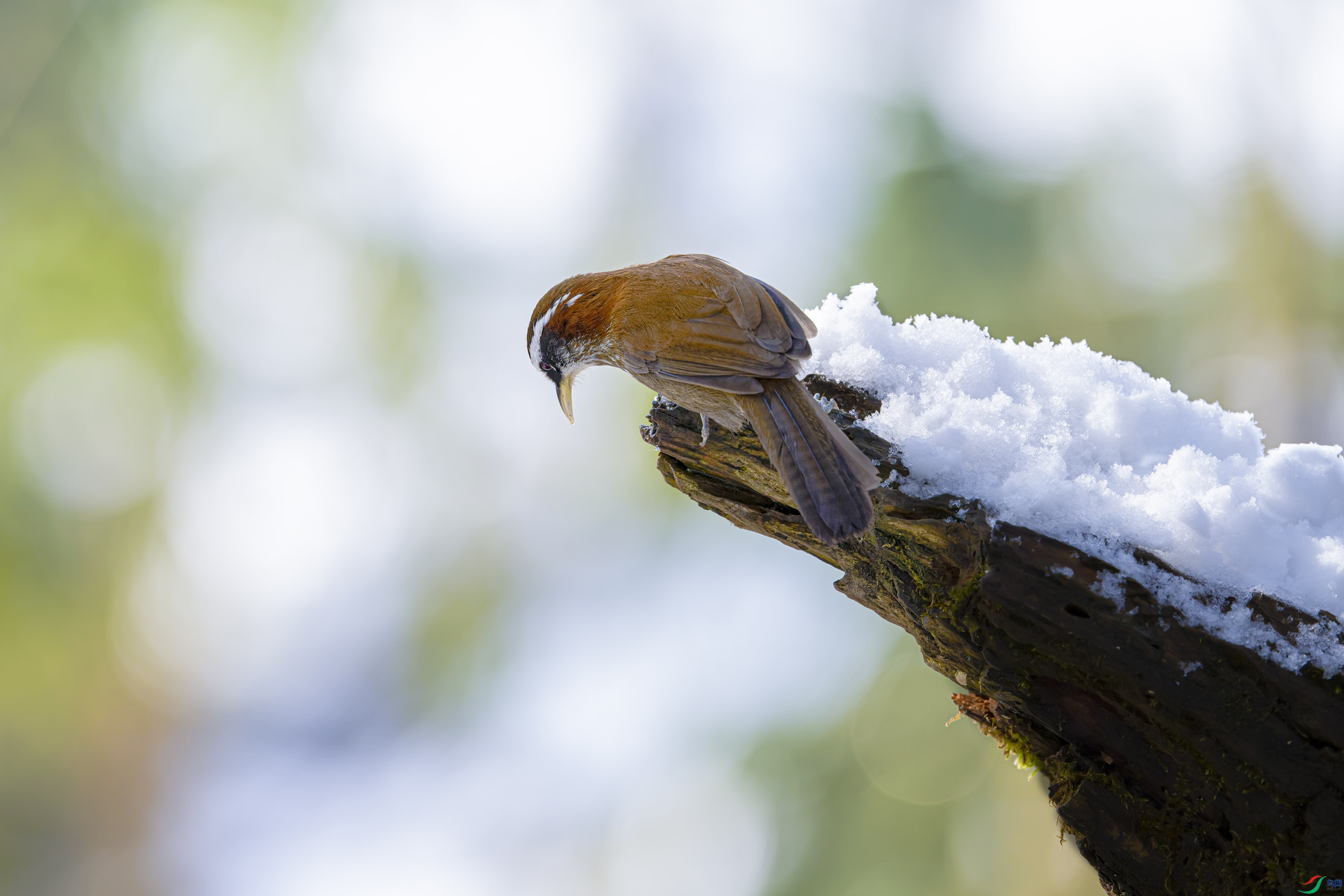 _DSC8814_DxO.jpg