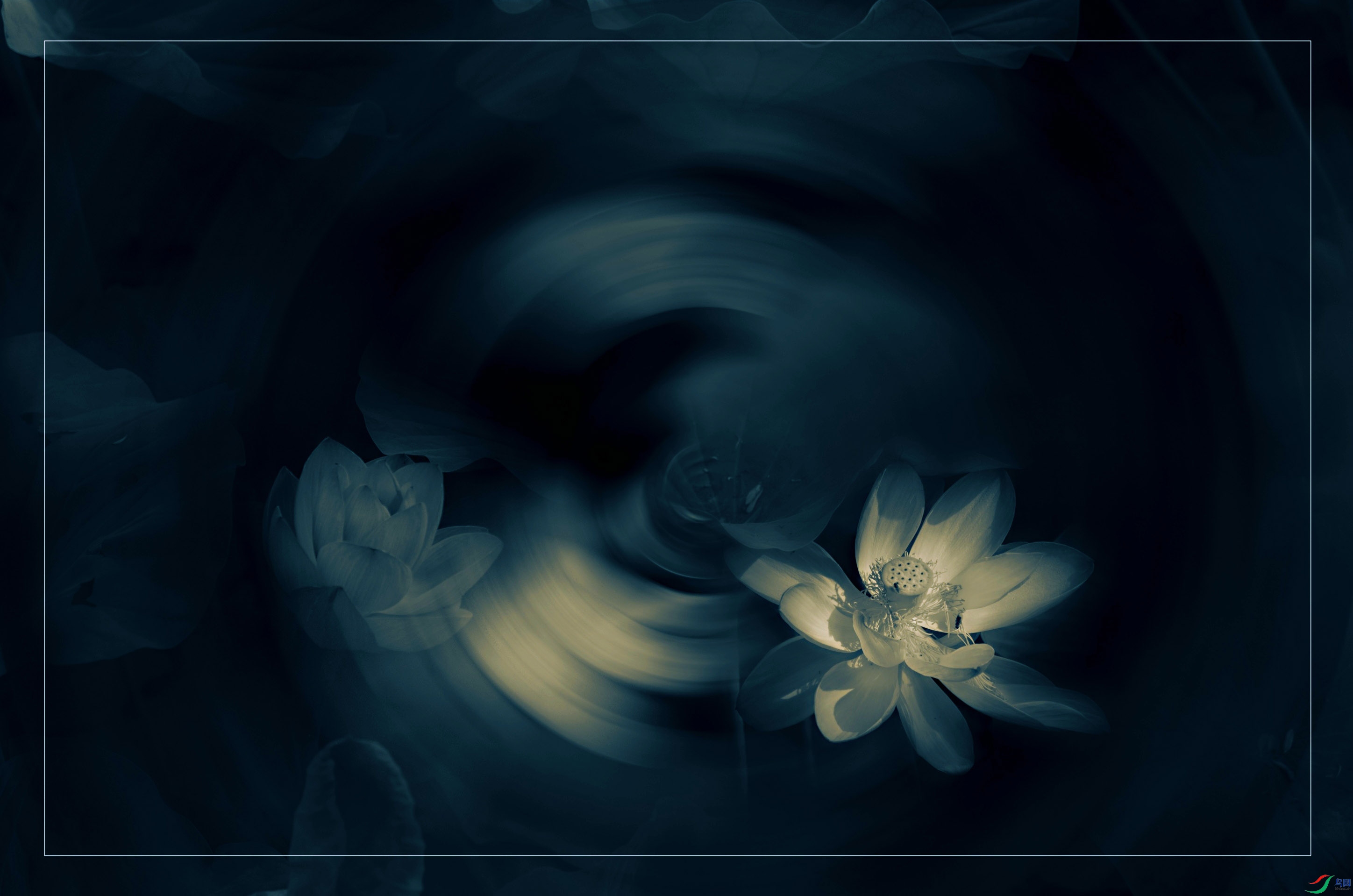 ����ɻ�