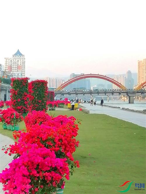 ΢��ͼƬ_20220401112550.jpg