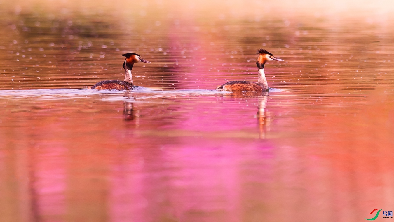 XC5_6319 - ����.jpg