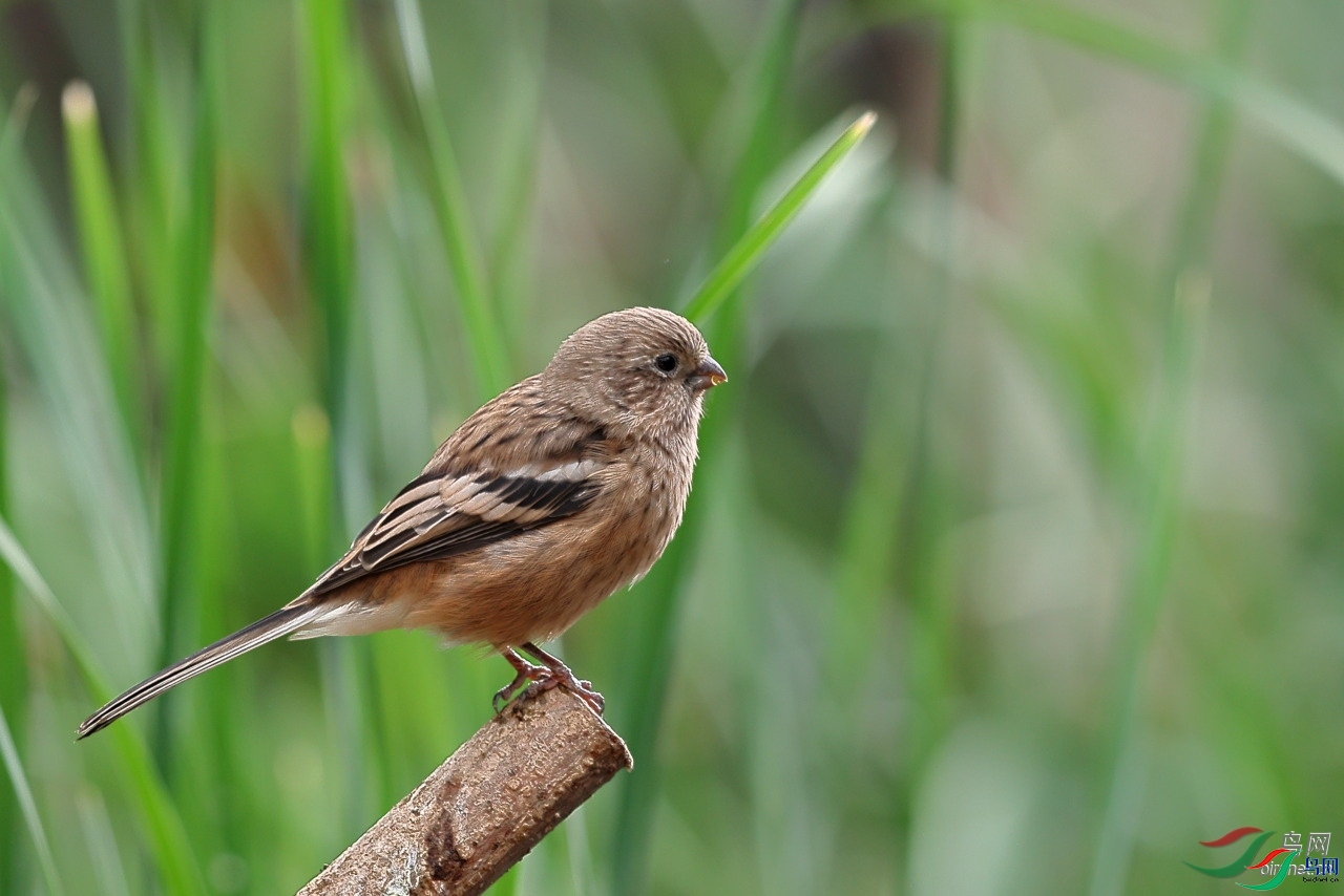 F6.7  ��ʦ����������ʡ�������躣��.jpg