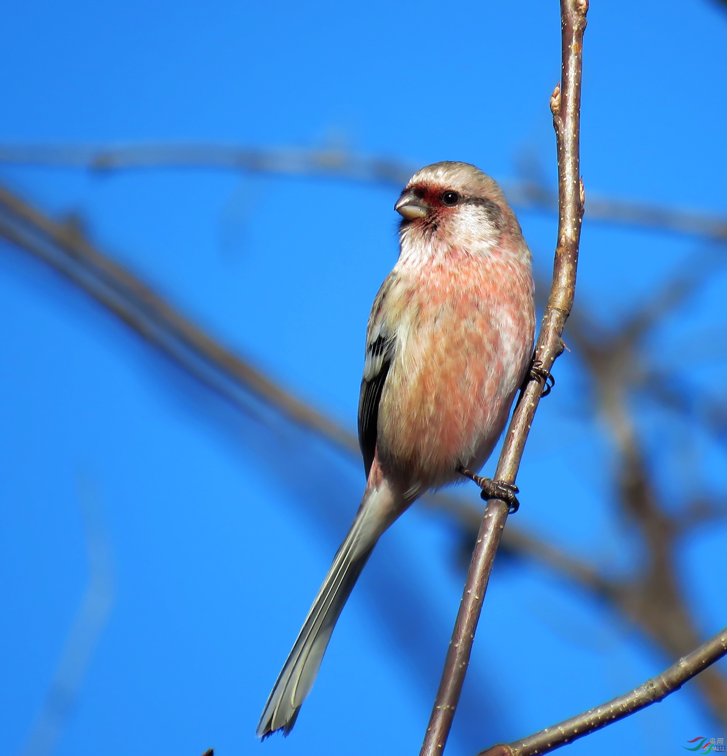 �۸���  ��ʦ���������ɹ����������ױ����и�����.jpg