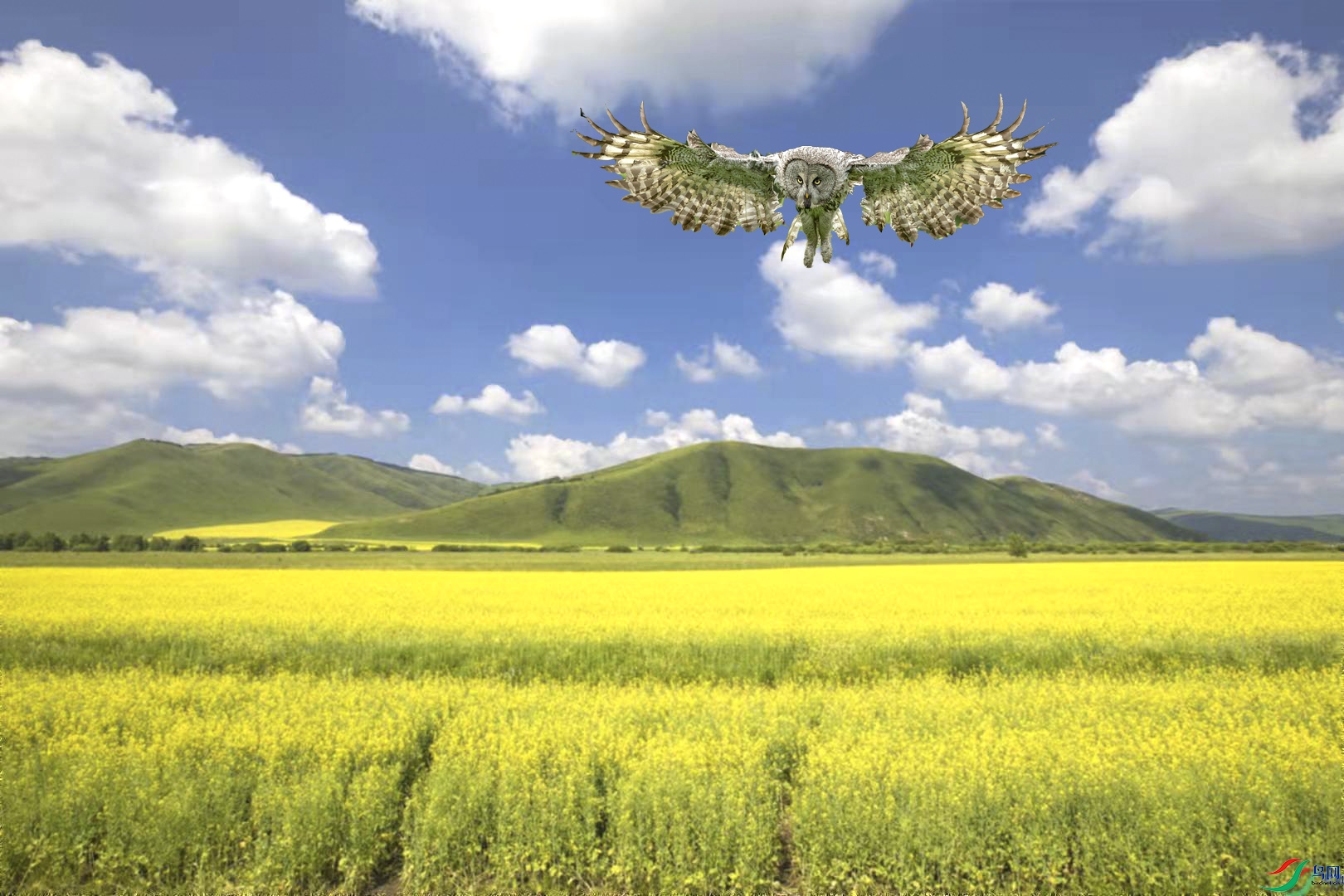 ΢��ͼƬ_20220329180250 1.jpg