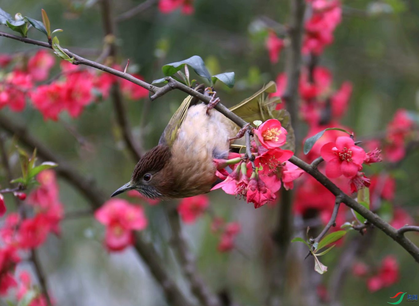 IMG_0138.JPG