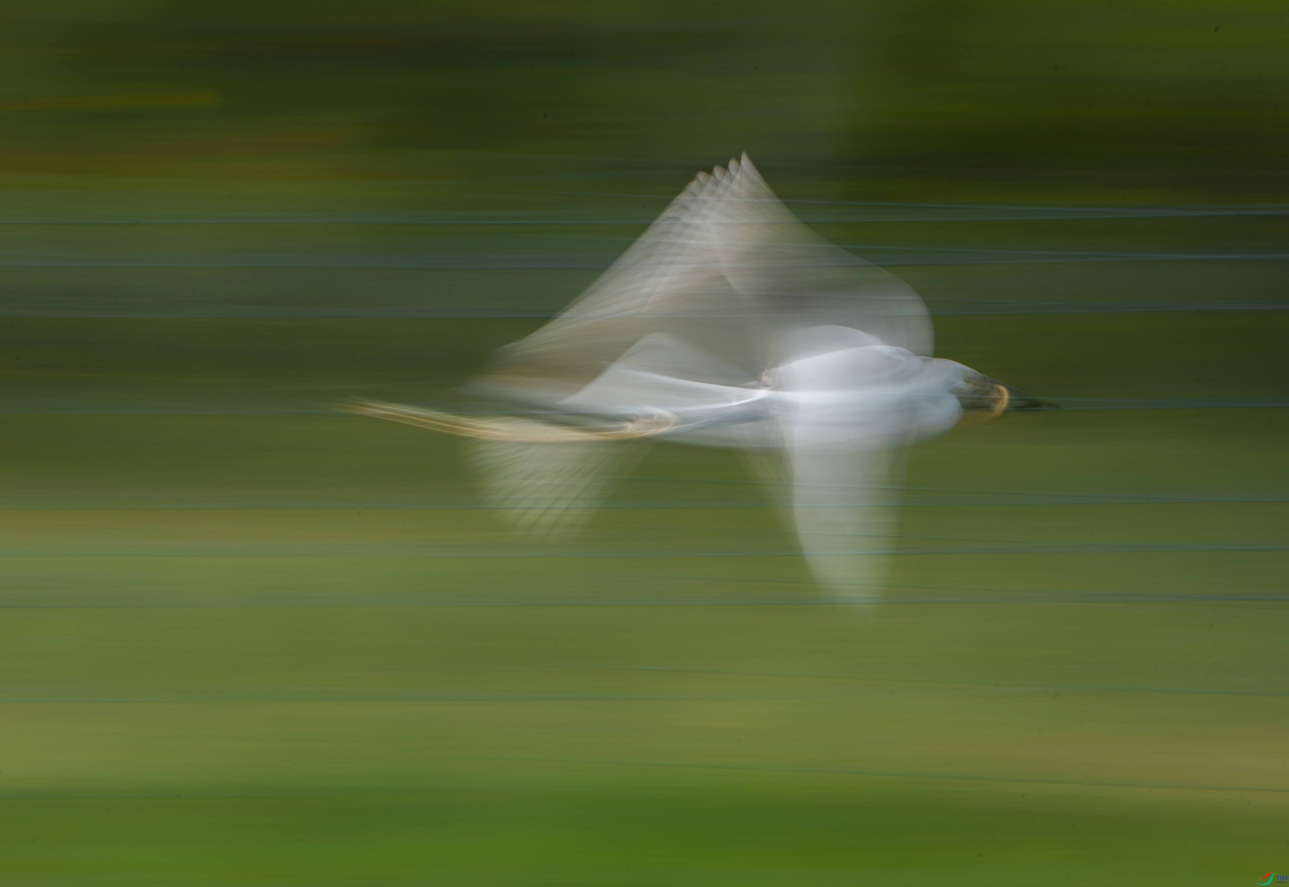 DSC03215z_polarr.jpg