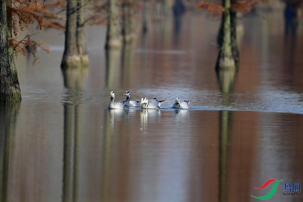 _DSC6715.jpg