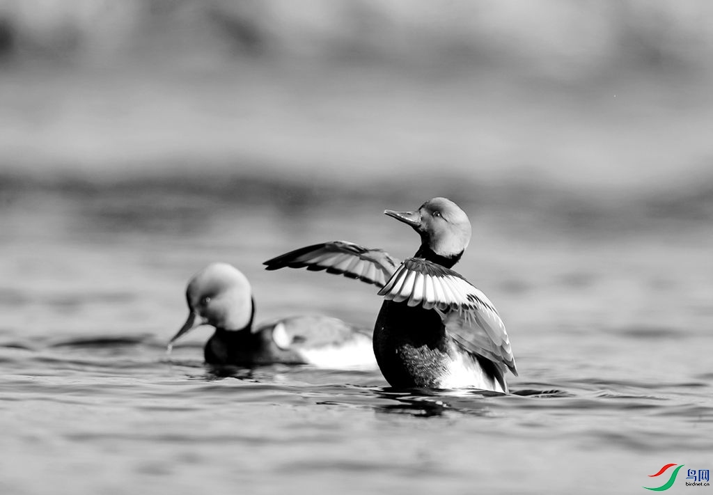 1-314_����.jpg