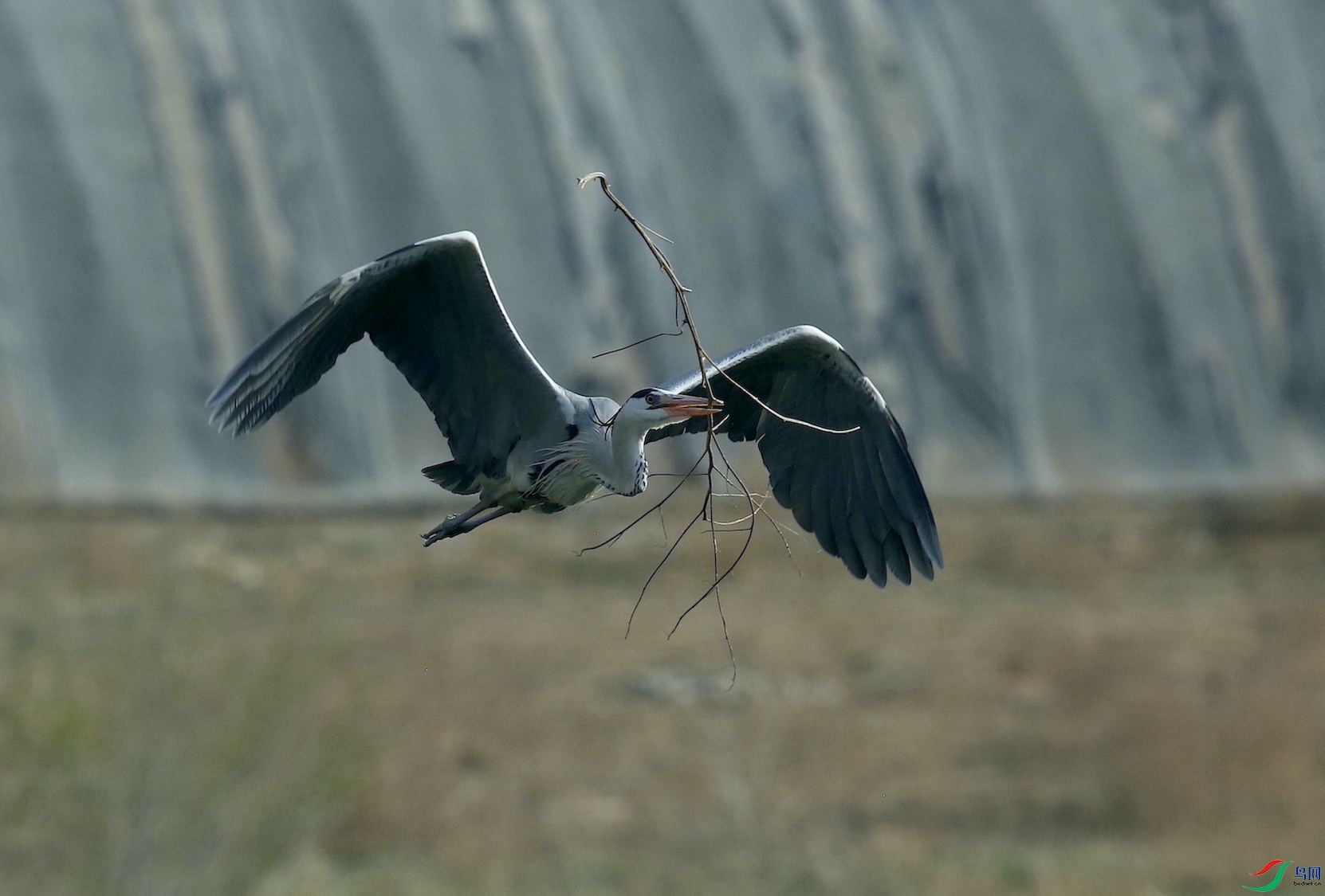 ������ 02.JPG