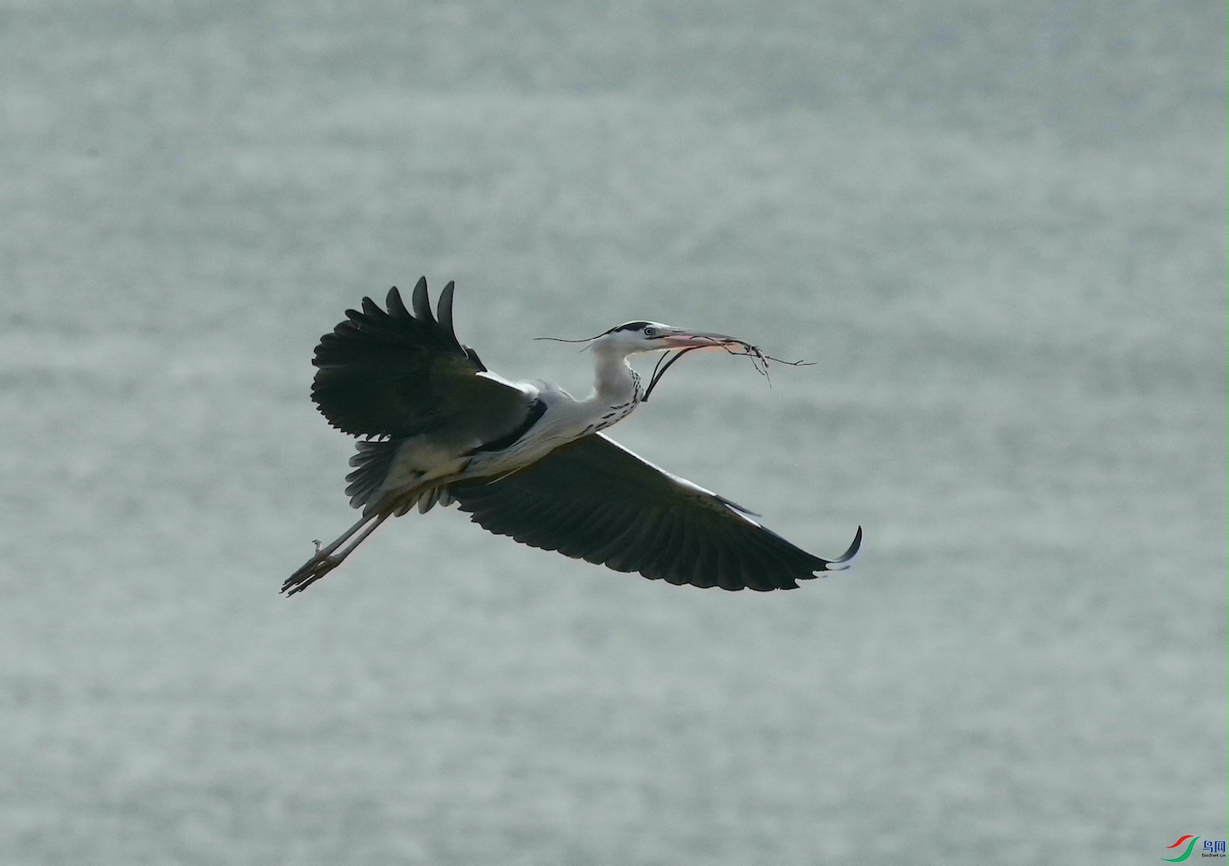 ������ 04.JPG