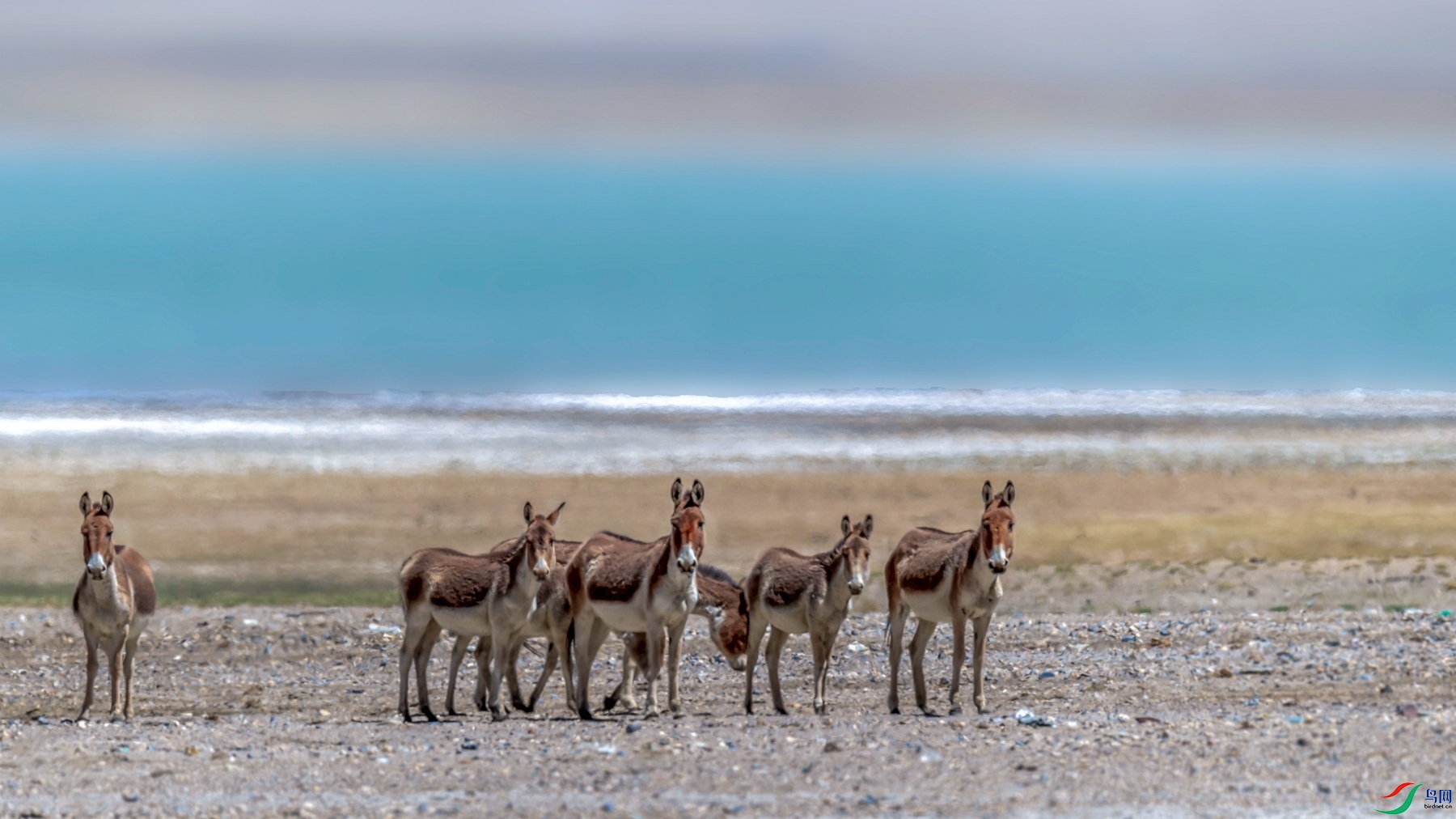 _DSC3440.jpgps6.jpg4_����.jpg