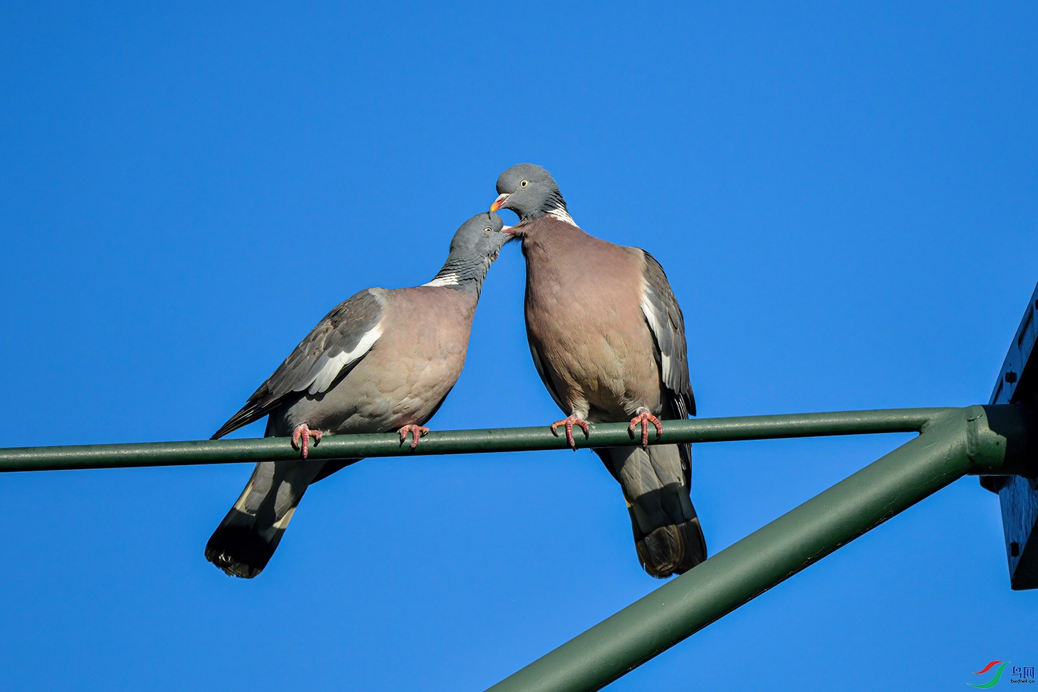 DSC_7452-1.jpg