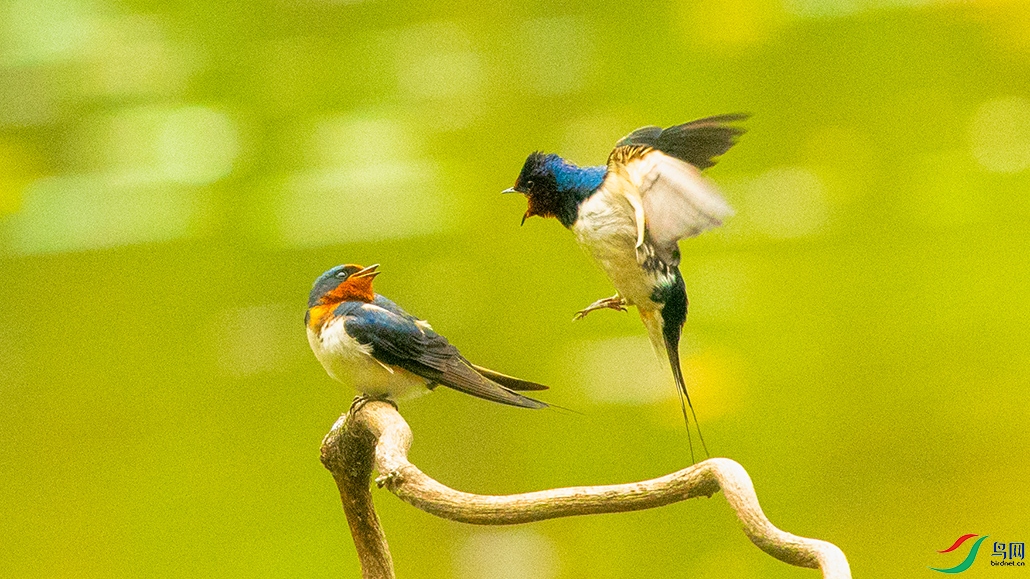 ��_DSC2732.jpg