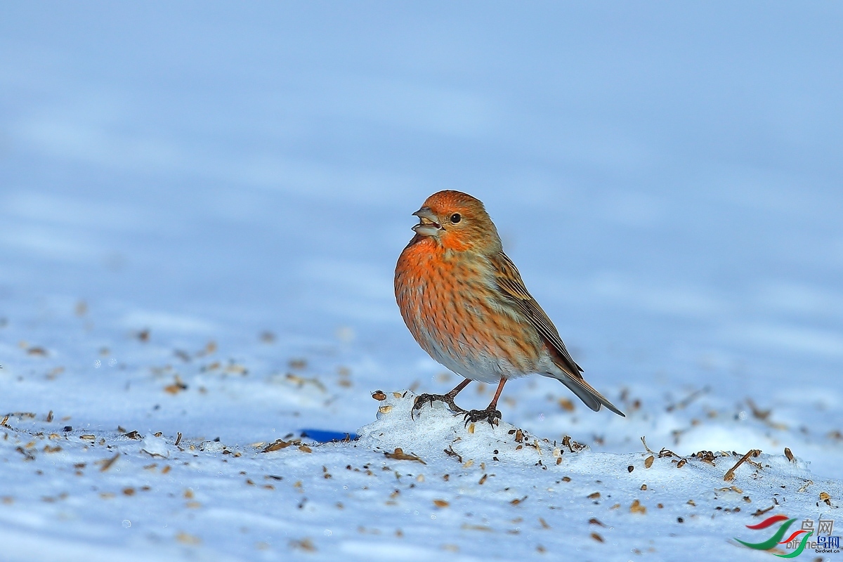 ���ã�һ��������  ��ʦ����������ʡ������.jpg