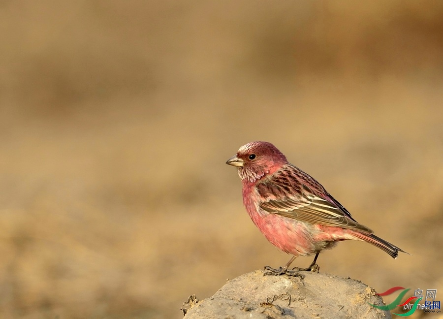 ֪������  ��ʦ�����ڱ����к�����.jpg