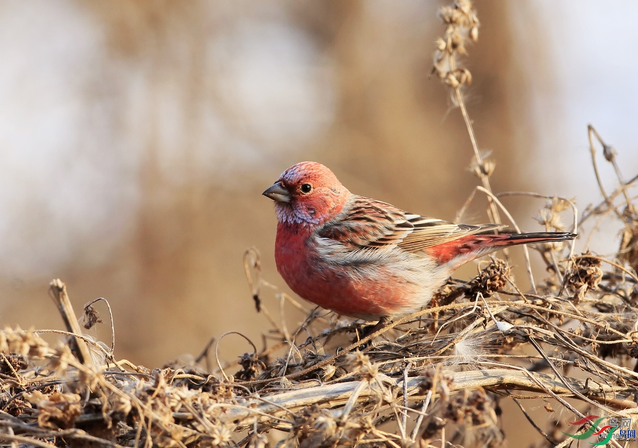 ��Ҳ����  ��ʦ����������ʡ�̽���.jpg