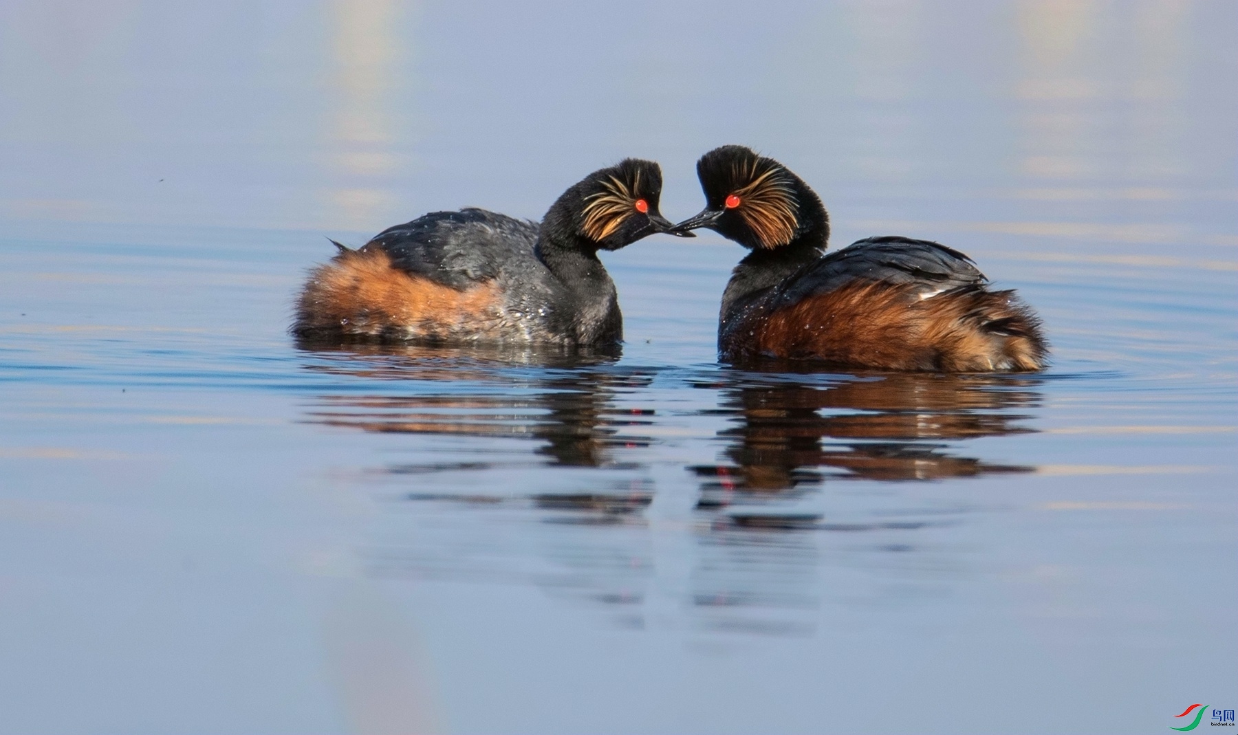 ������� (1).jpg