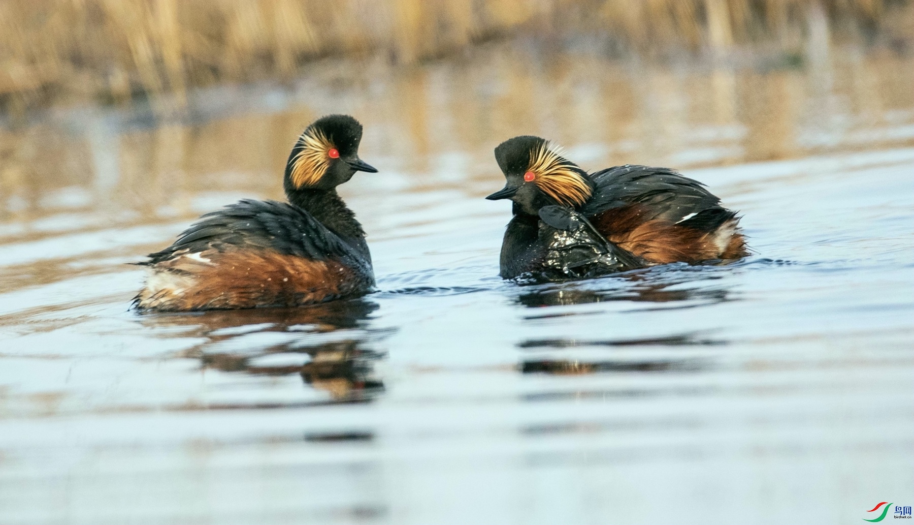 ������� (3).jpg