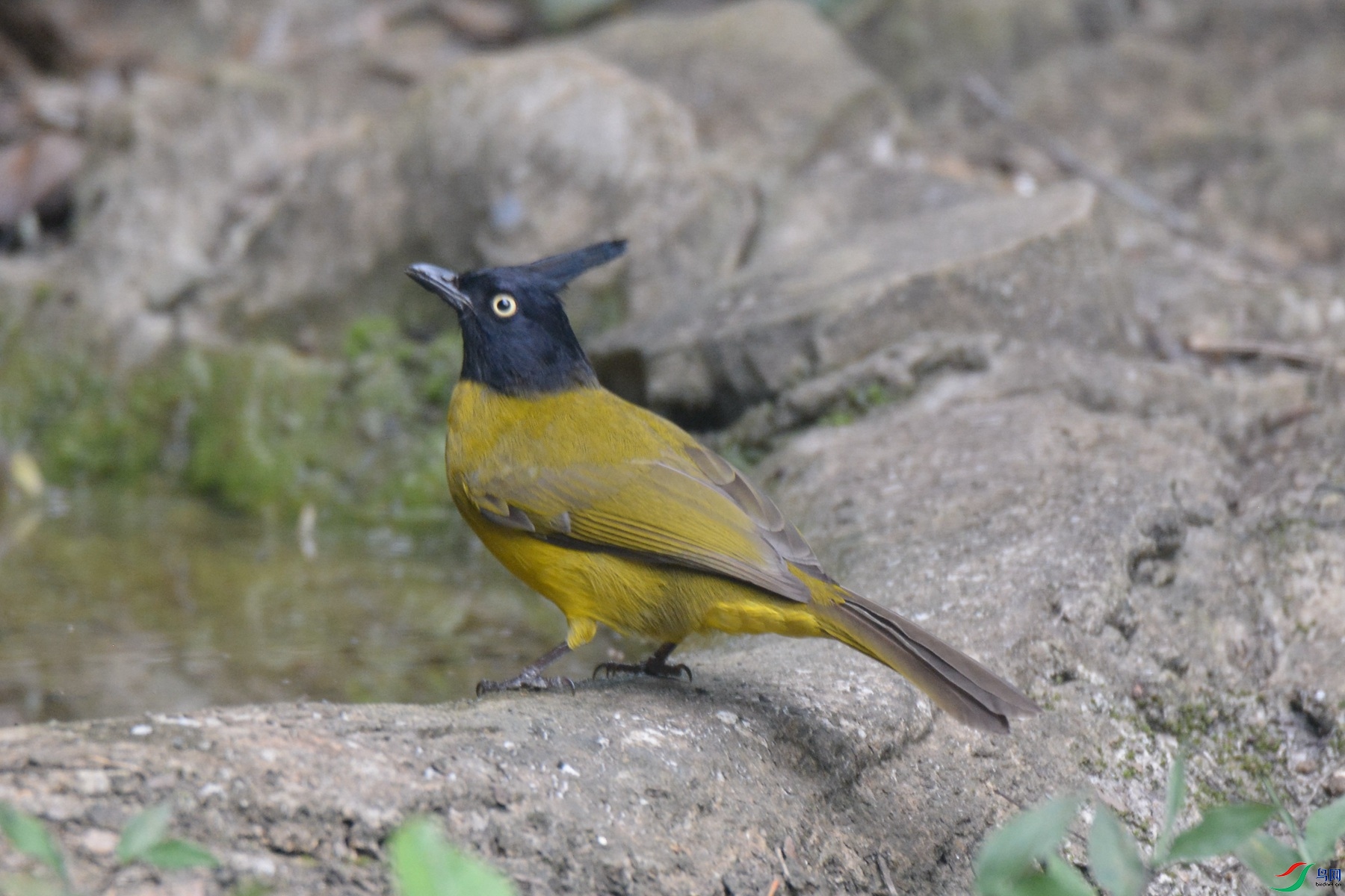 DSC_2030_����.jpg�ຣ.jpg