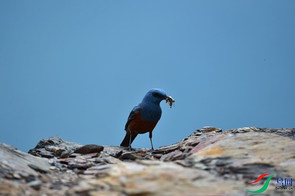 File0000051431.jpg