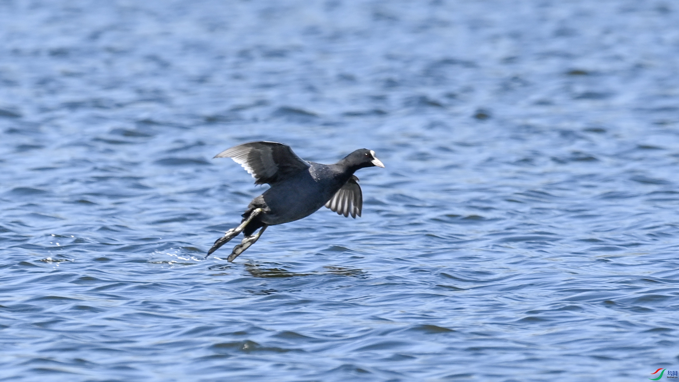 DSC_5251.JPG