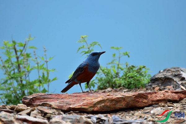 File0000051686.jpg