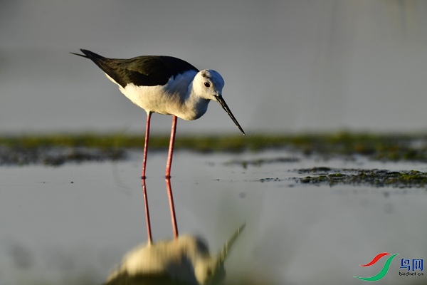 _DSC1116.jpg