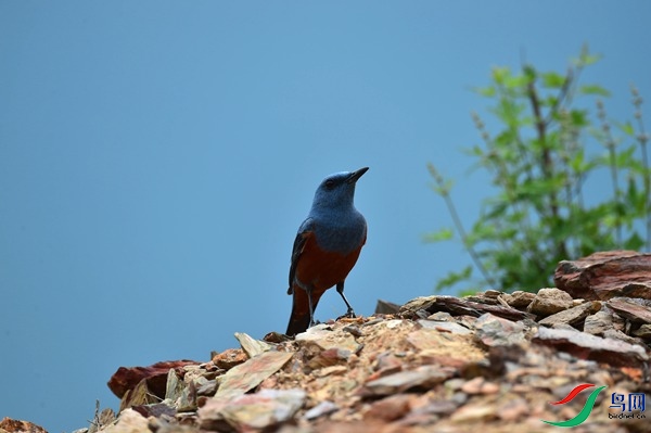 File0000051718.jpg