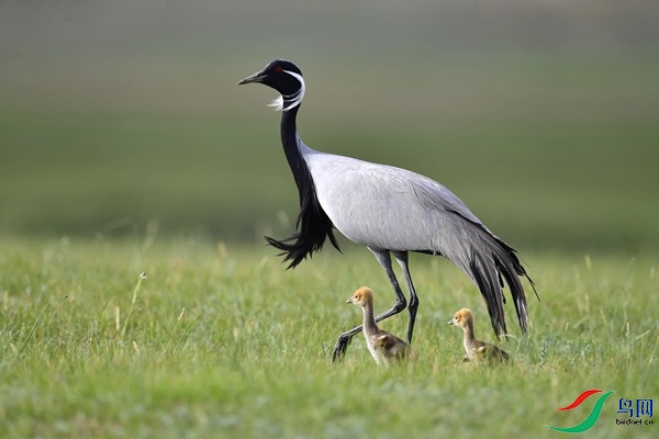 _DSC8478.jpg