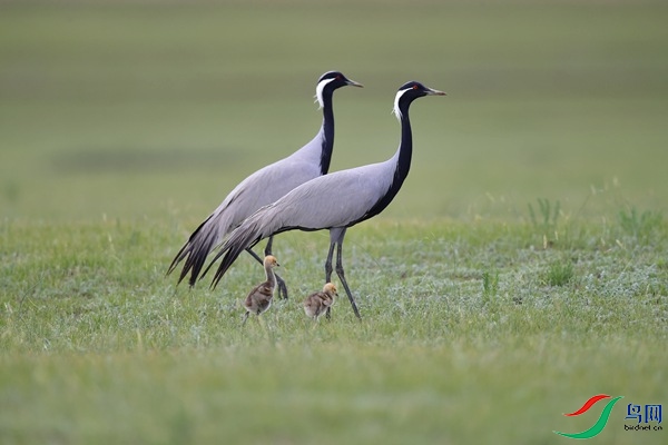_DSC8695.jpg