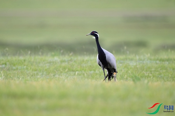 _DSC8232.jpg