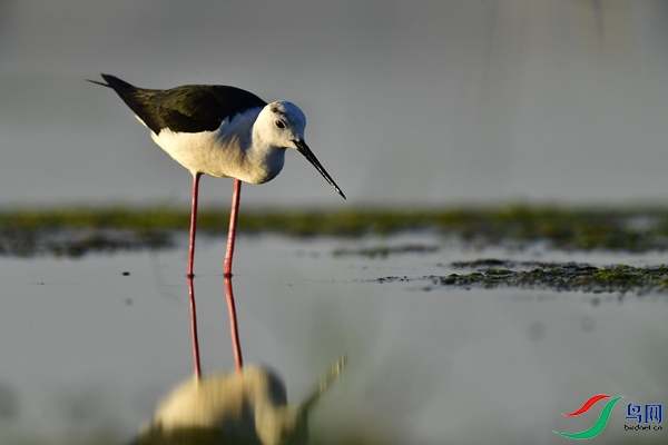 _DSC1098.jpg