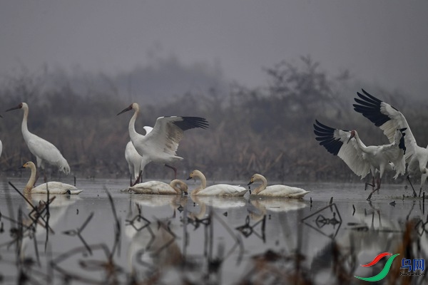 _DSC7473.jpg
