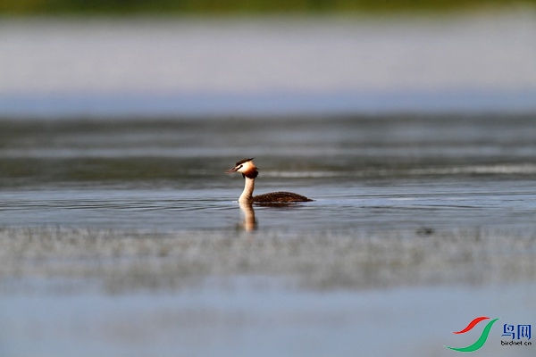 _DSC1226.jpg