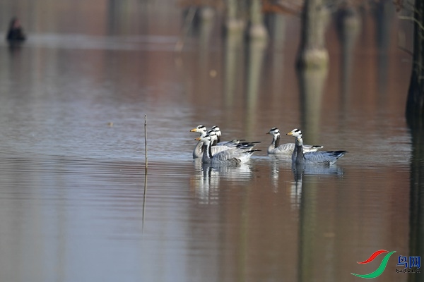 _DSC6870.jpg