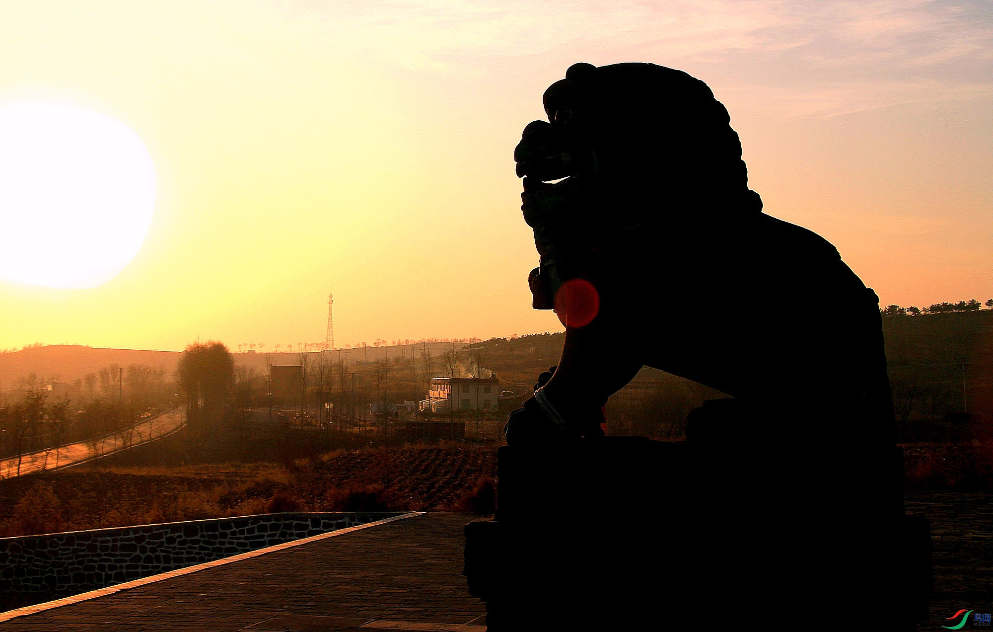 A13 ��ʨ���� .JPG